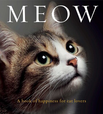 Meow Meow