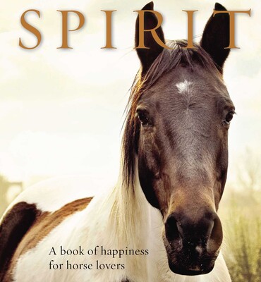Spirit Spirit