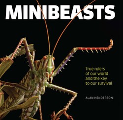 Minibeasts Minibeasts