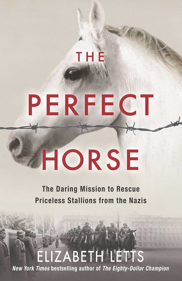 Perfect Horse