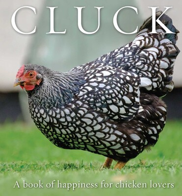 Cluck Cluck