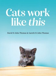 Cats Work Like This Cats Work Like This