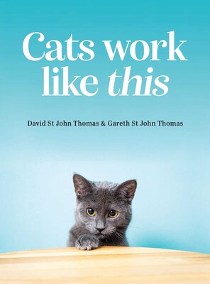Cats Work Like This Cats Work Like This