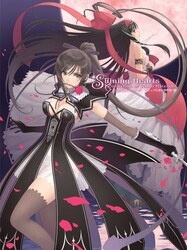 Shining Hearts: Collection of Visual Materials | Book by Sega