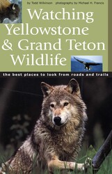Watching Yellowstone and Grand Teton Wildlife Watching Yellowstone and Grand Teton Wildlife