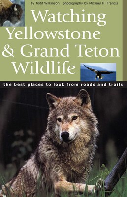 Watching Yellowstone and Grand Teton Wildlife Watching Yellowstone and Grand Teton Wildlife