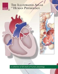 The Illustrated Atlas of Human Physiology The Illustrated Atlas of Human Physiology