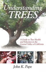 Understanding Trees