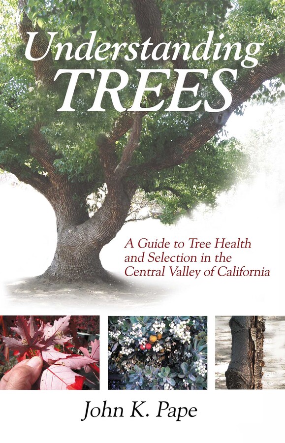 Understanding Trees