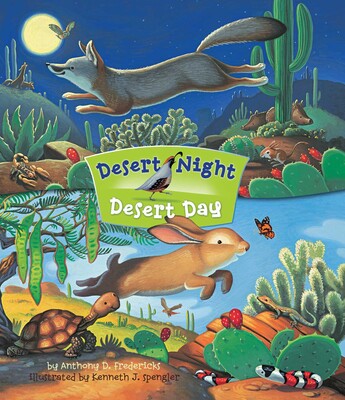 Desert Night Desert Day Desert Night Desert Day