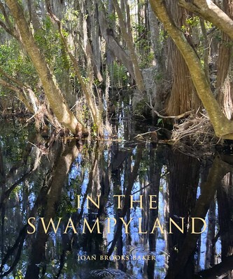 In the Swampyland In the Swampyland