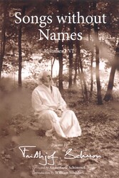 Songs Without Names Vol. I-Vi: Poems By
