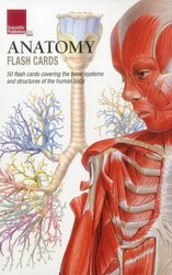 Anatomy Flash Cards Anatomy Flash Cards