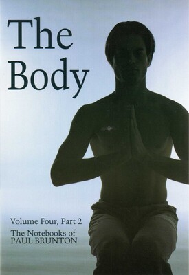 Body Body