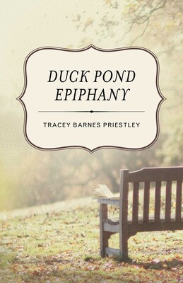 Duck Pond Epiphany Duck Pond Epiphany