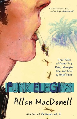 Punk Elegies Punk Elegies