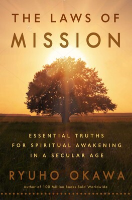 The Laws of Mission The Laws of Mission