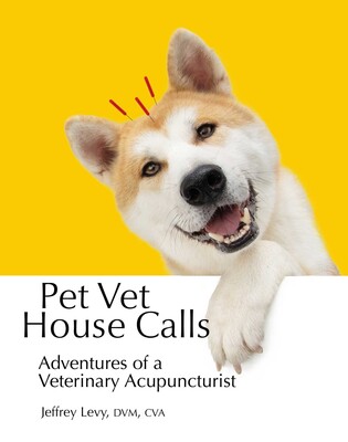 Pet Vet House Calls