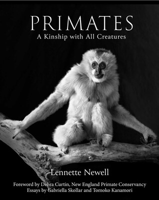 Primates Primates
