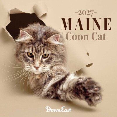 2027 Maine Coon Cats Wall Calendar 2027 Maine Coon Cats Wall Calendar
