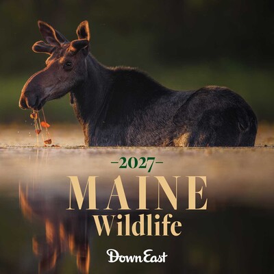 2027 Maine Wildlife Wall Calendar 2027 Maine Wildlife Wall Calendar