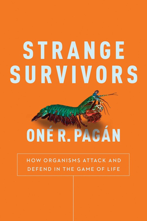 Strange Survivors
