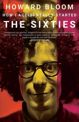How I Accidentally Started The Sixties How I Accidentally Started The Sixties