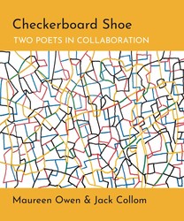 Checkerboard Shoe Checkerboard Shoe