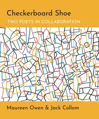 Checkerboard Shoe Checkerboard Shoe