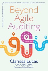 Beyond Agile Auditing Beyond Agile Auditing