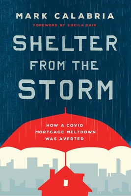 Shelter from the Storm Shelter from the Storm