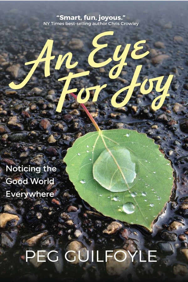 An Eye For Joy