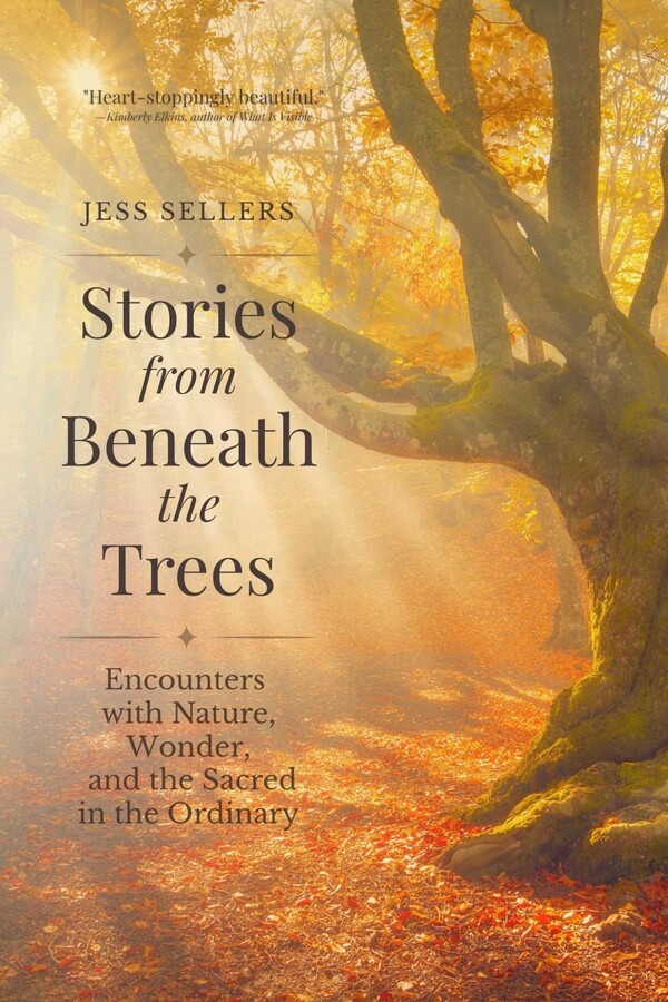 Stories from Beneath the Trees