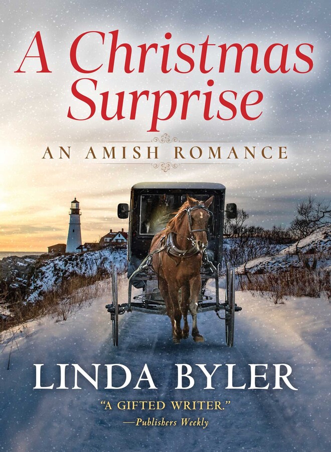 Christmas Surprise