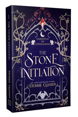 新品　未開封　THE STONEMASTERS BOOK クライミング The Stone Initiation | Book by Debbie Cassidy | Official Publisher