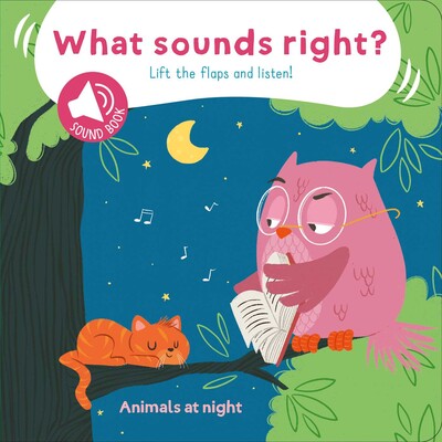 What Sounds Right? - Animals At Night What Sounds Right? - Animals At Night