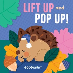 Lift Up and Pop Up - Goodnight Lift Up and Pop Up - Goodnight