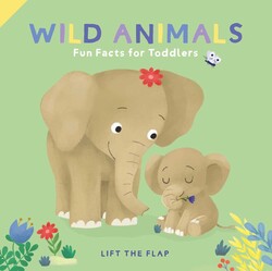 Fun Facts For Toddlers - Wild Animals Fun Facts For Toddlers - Wild Animals