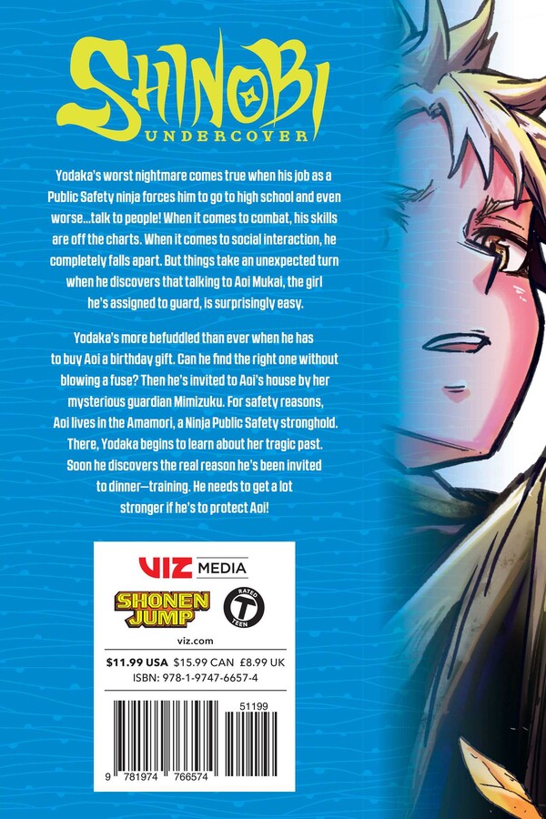 Shinobi Undercover, Vol. 4