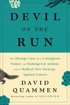 Devil On The Run