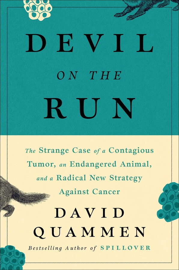 Devil On The Run