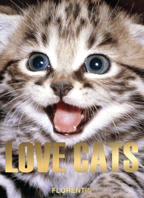 Love Cats Love Cats