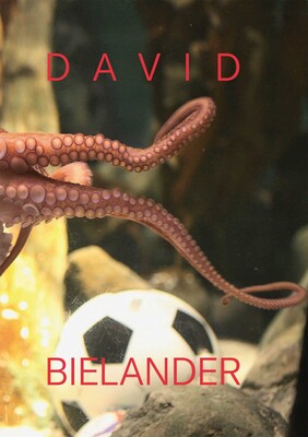 David Bielander David Bielander