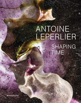 Antoine Leperlier Antoine Leperlier