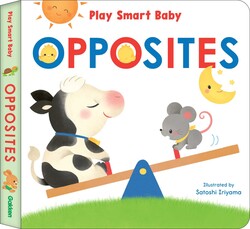 Play Smart Baby  OPPOSITES