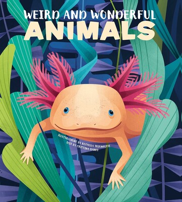 Weird and Wonderful Animals Weird and Wonderful Animals