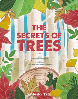 Secrets of Trees Secrets of Trees