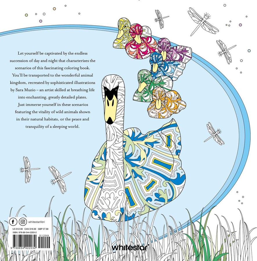 Night & Day Coloring Book