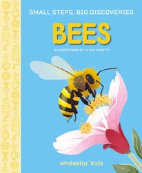 Small Steps, Big Discoveries: Bees