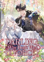 Darling, Why Don't We Divorce? Volume 1 Darling, Why Don't We Divorce? Volume 1